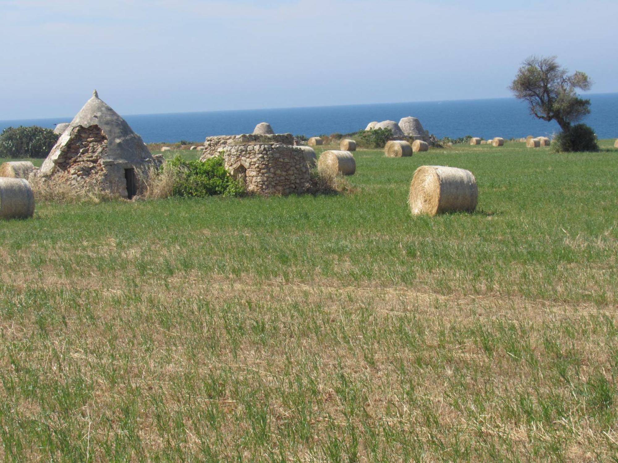 Ferienwohnung Nisea Polignano a Mare Exterior foto